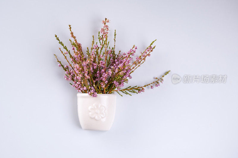 紫花石南花(Calluna vulgaris)